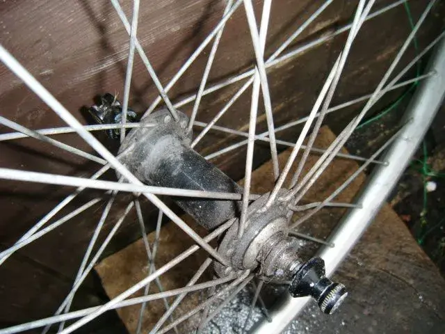 DSCF1776.webp