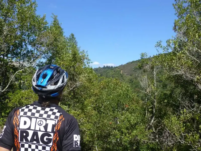 Steep one.webp