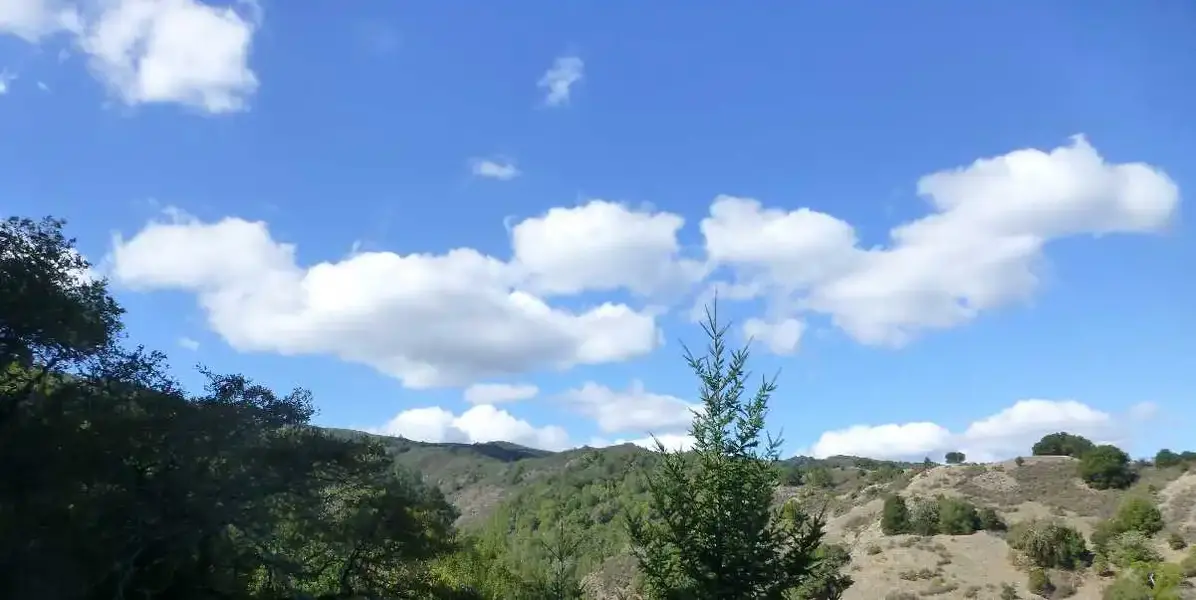 Nothing but Blue Skies.webp