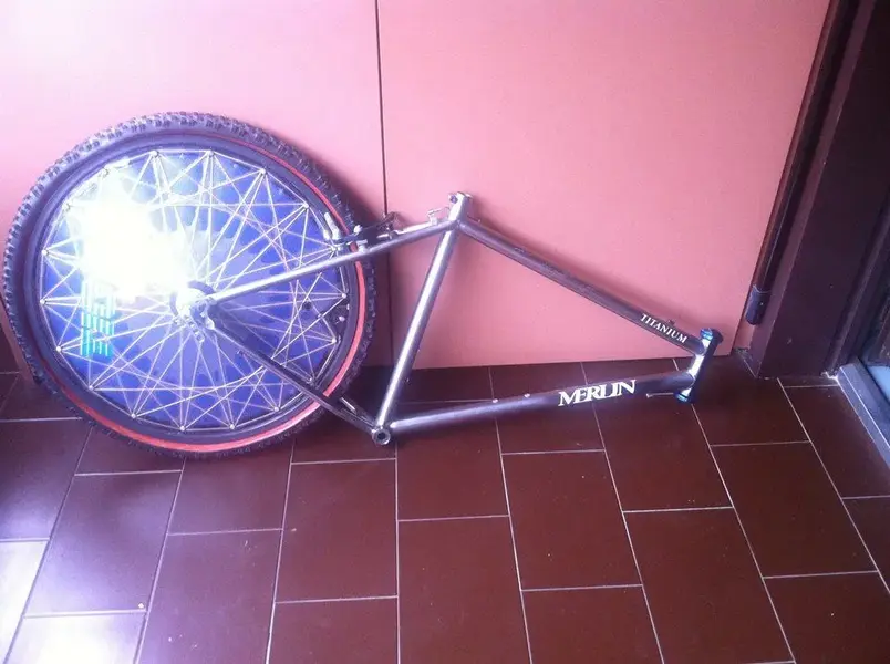 merlin 1.webp