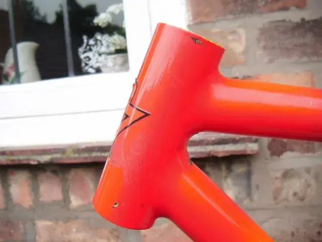 DSCF1789.webp