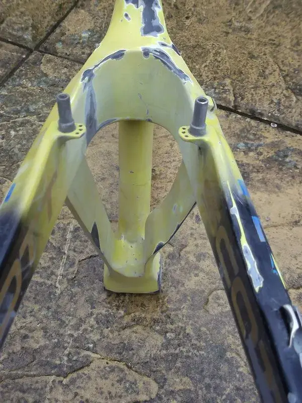 endo frame 2.webp