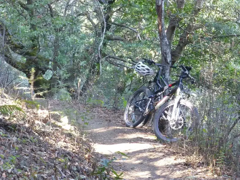 Broken Dam Trail.webp