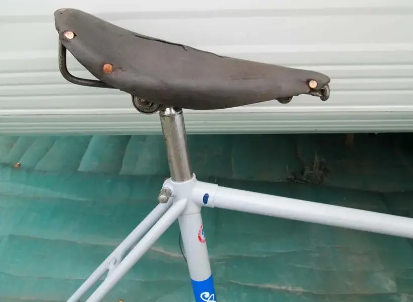 saddle.webp