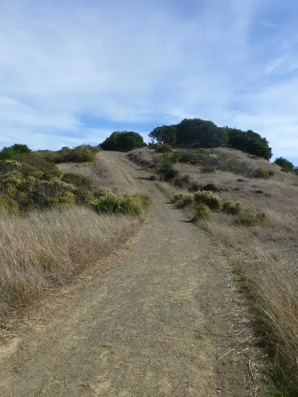 Climbing.webp