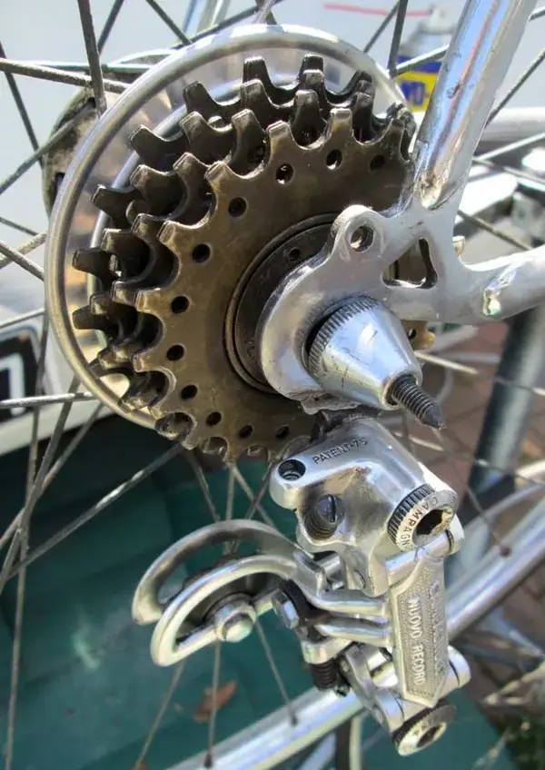 freewheel.webp