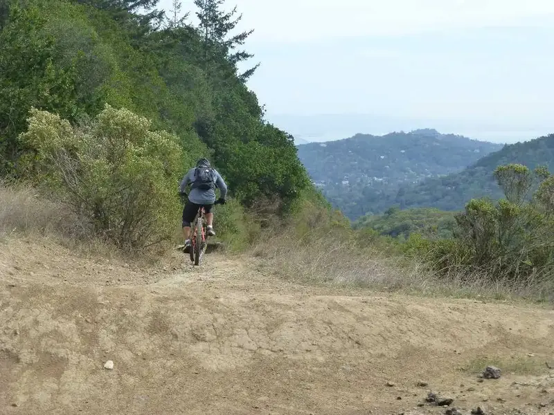 Going down.webp