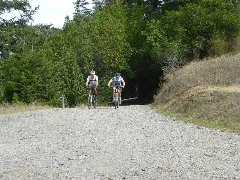 Top of the climb.webp
