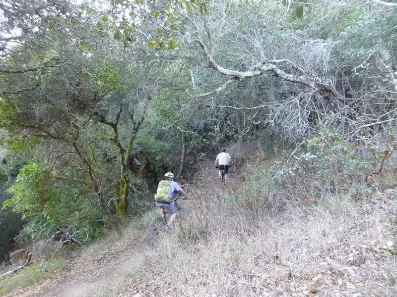 Climbing.webp