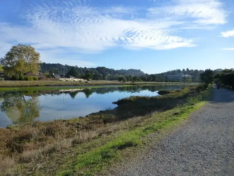 Bike Path.webp