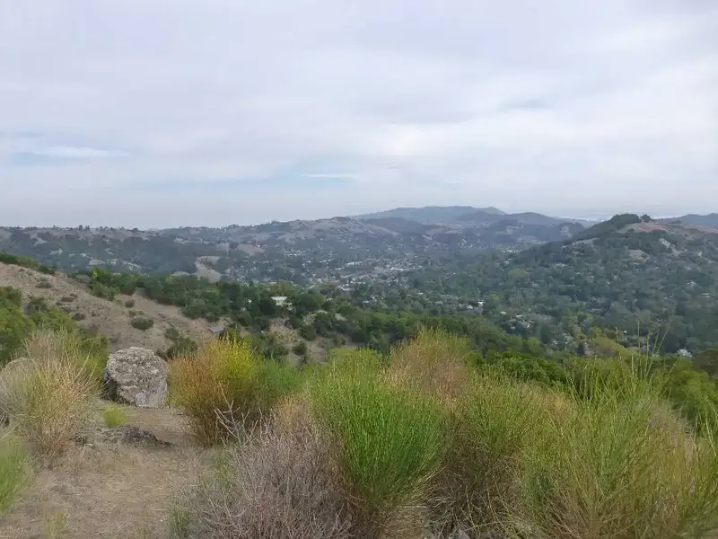 Above Fairfax.webp