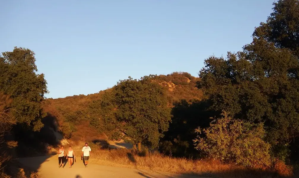 sf.Todays Ride 10-14-14 a.web.webp