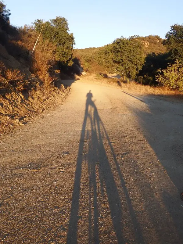 sf.Todays Ride 10-14-14 b.web.webp