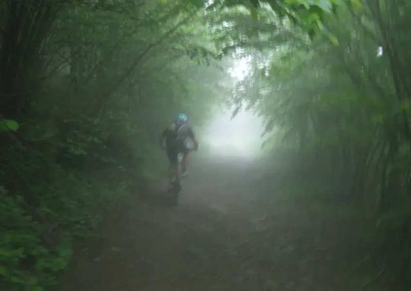 fog01.webp