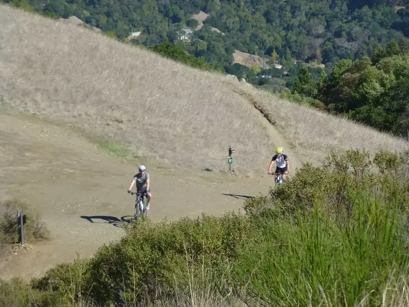 Trail Intersection.webp