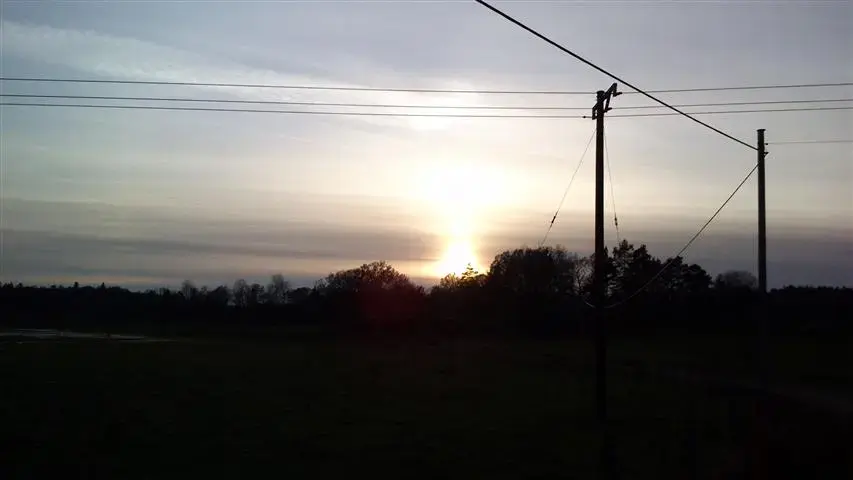 into the sunset.webp