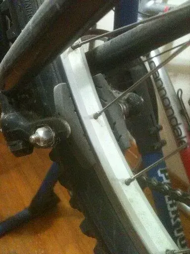 pads at rim edge.webp