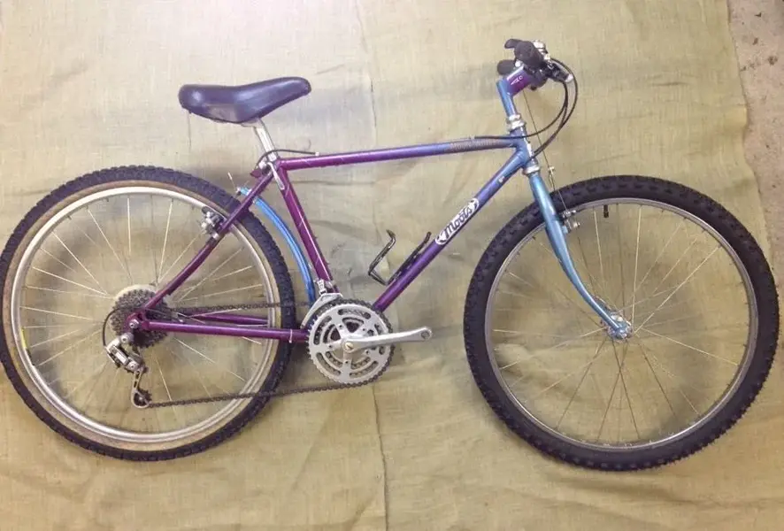 moots.webp