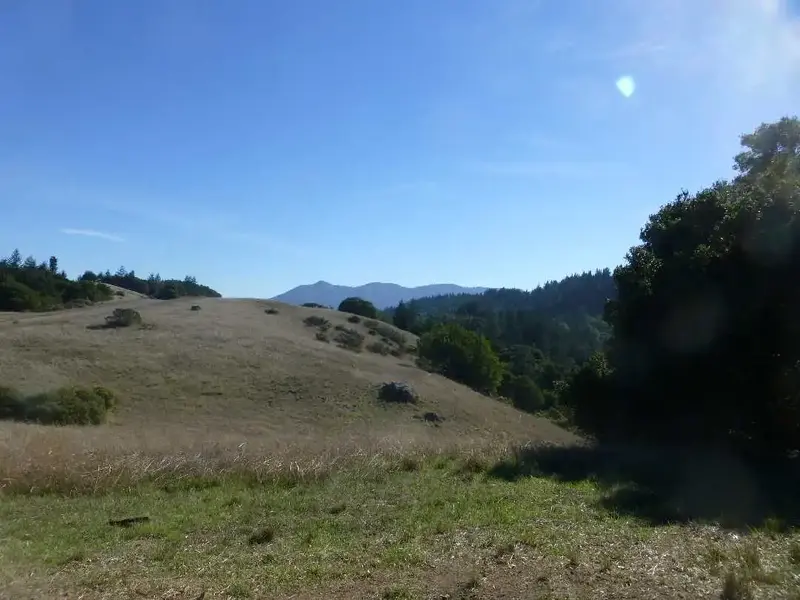 Tam in the distance.webp