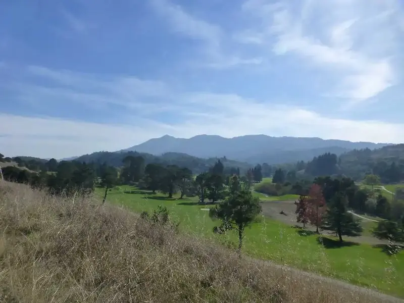 Golf Course.webp