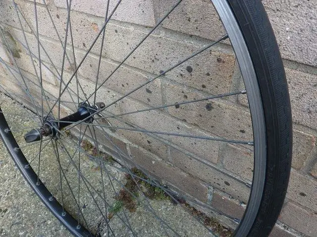 wheels 5.webp