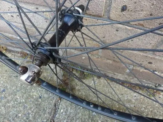 wheels 3.webp