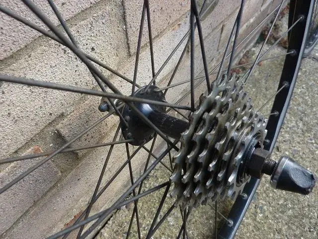 wheels 2.webp