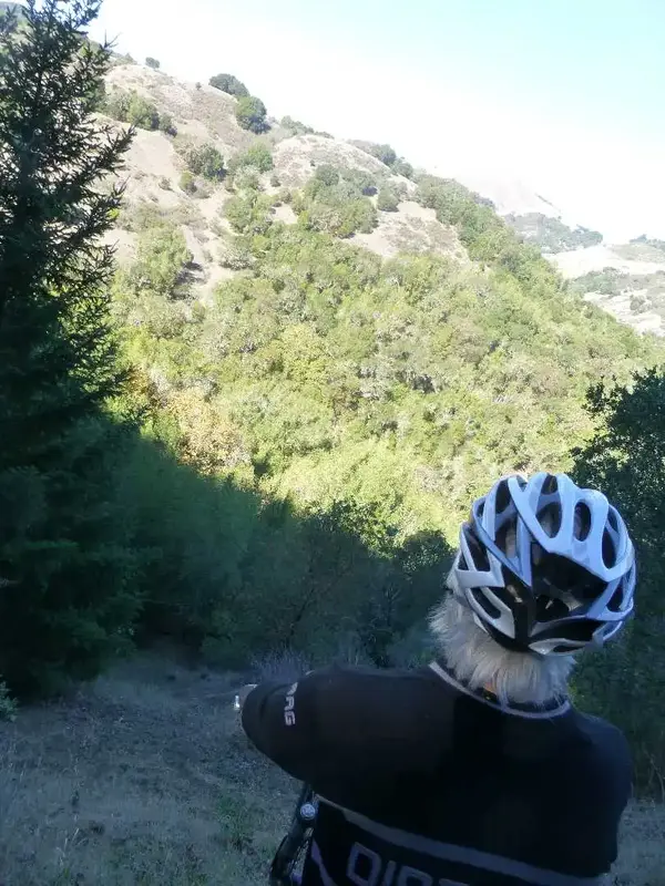 Deep in the Canyon.webp