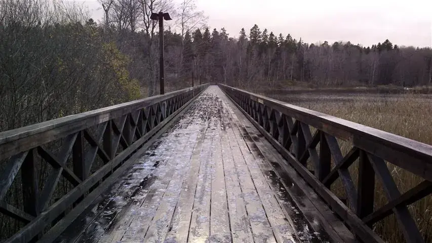 bridge.webp
