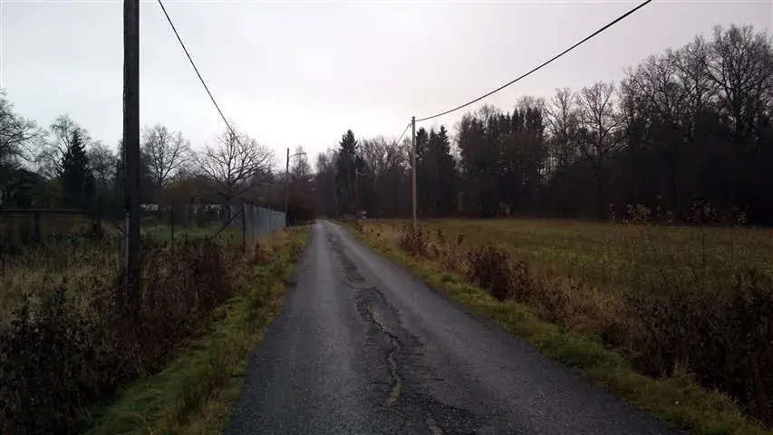country lane.webp