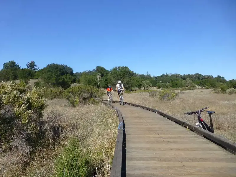 Magic Bridge.webp