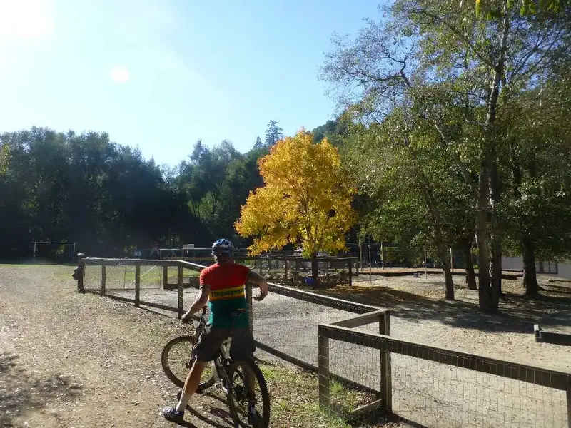 Fall colors.webp