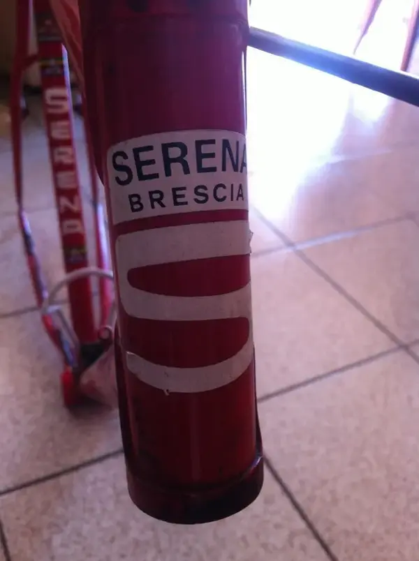 serena3.webp