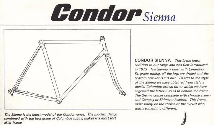 condor sienna 77.webp