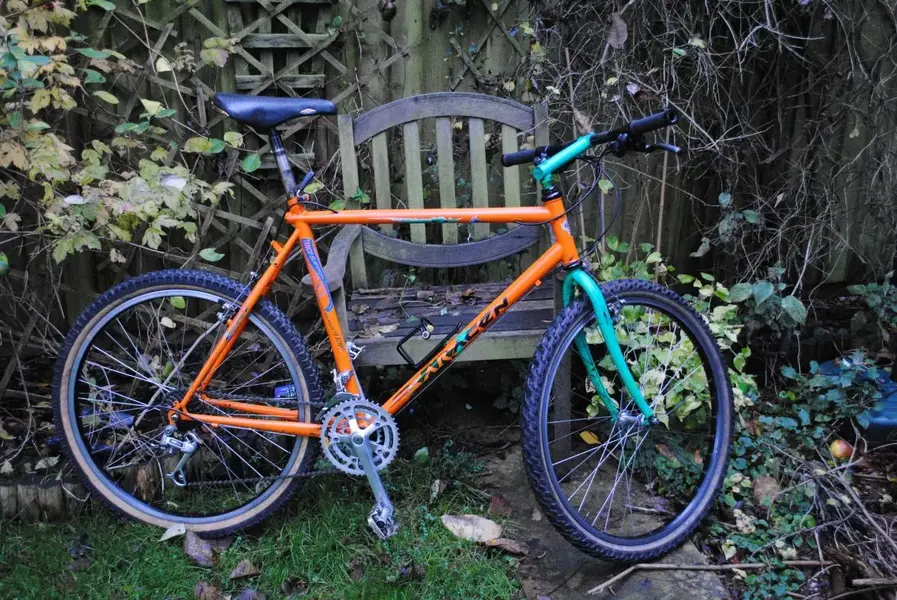 knackered old saracen.webp
