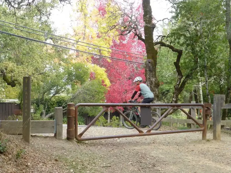 Fall colors.webp