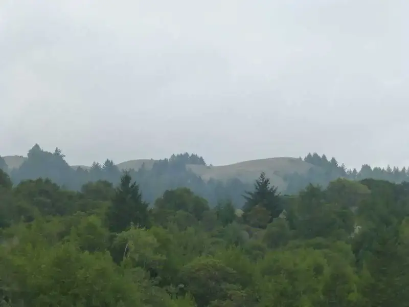 Foggy ridge.webp