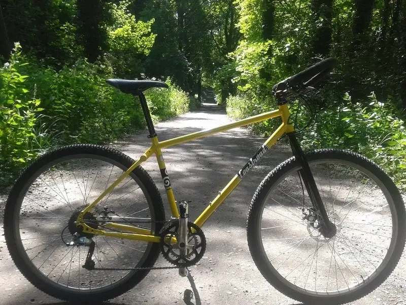 Coastroad Custom Columbus steel 29er.webp