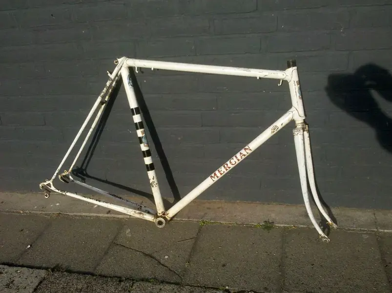 mercian1.webp