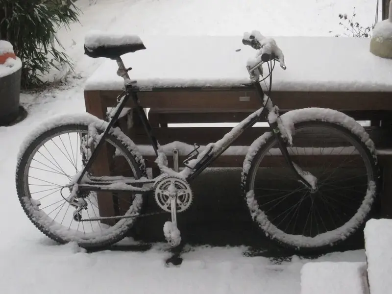 Under White.webp