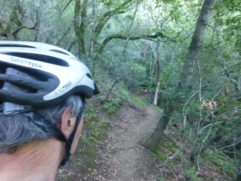 Today's trail.webp