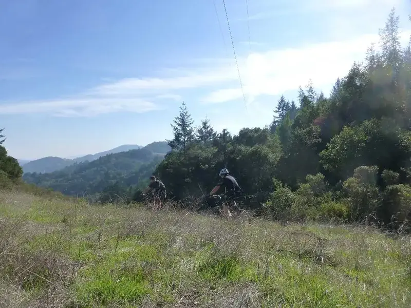 At 750'.webp