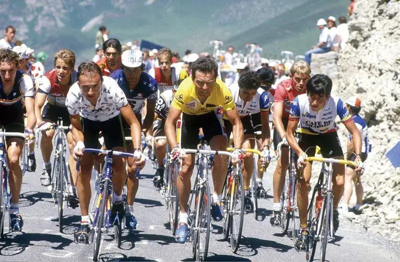tdf_ofs5923.webp