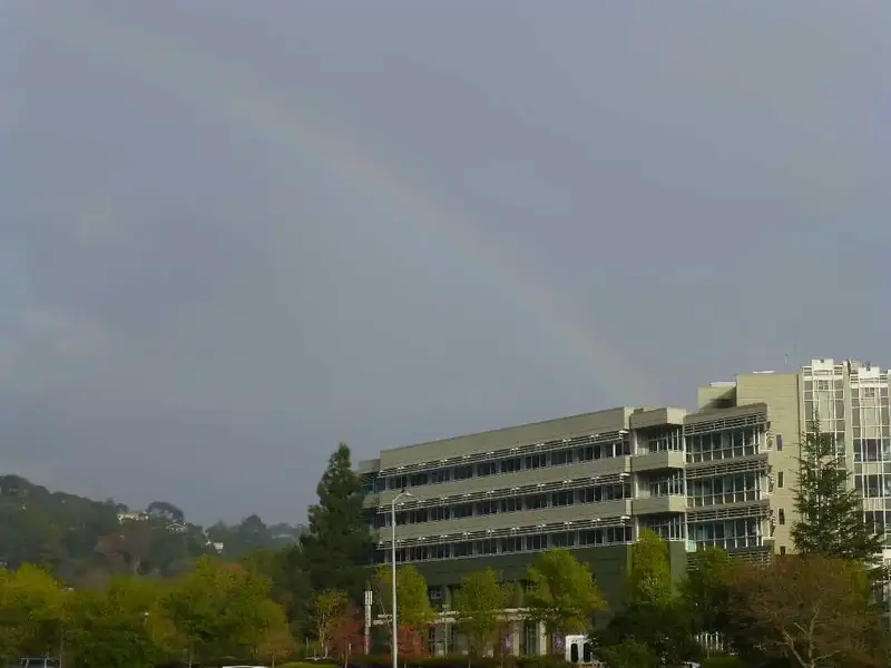 Rainbow.webp