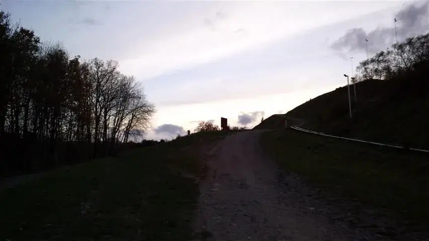 at the bottom.webp