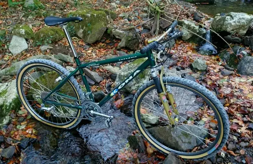 Kona2.webp
