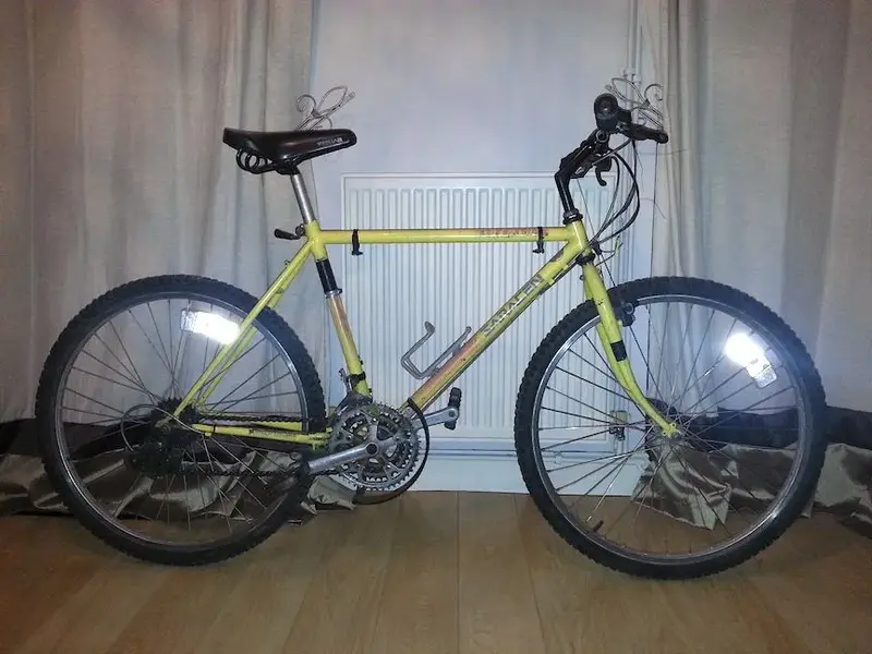 saracen2.webp