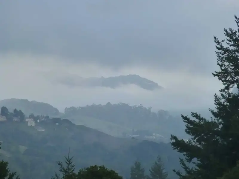 Foggy hills.webp