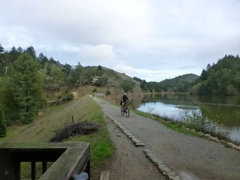 On the Dam.webp