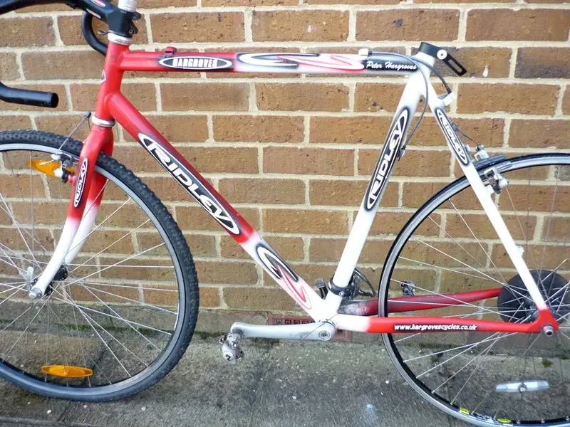 Ridley 5.webp